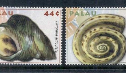 Palau-2009-Seashells-MUH