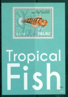 Palau-2013-Marine-Life-Tropical-Fish-MS-MUH_2