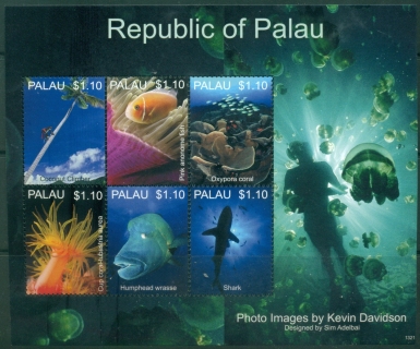Palau-2013-Marine-Life-of-Palau-MS-MUH_3