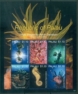 Palau-2013-Marine-Life-of-Palau-MS-MUH_4