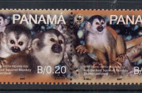 Panama-2007 WWF Red Backed Squirrel Monkey