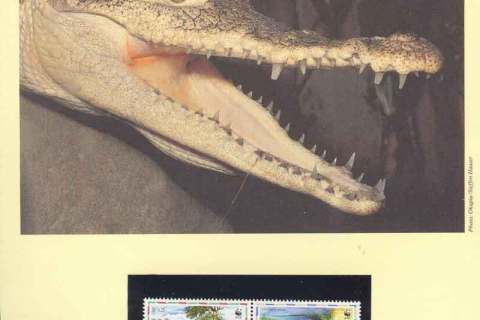 Panama-1997 WWF American Crocodile