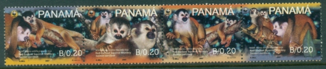 Panama-2007-WWF-Squirrel-Monkey-MUH_2