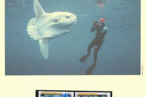 Penrhyn-Is-2003 WWF Ocean Sunfish