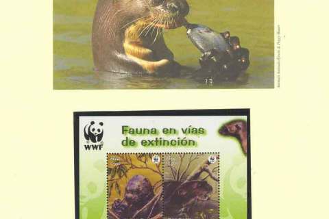 Peru-2004 WWF Giant Otter