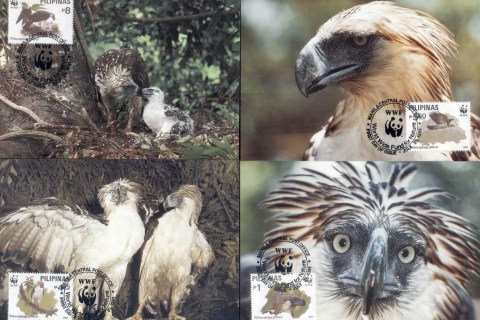 Philippines-1991 WWF Philippine Eagle Maxicards