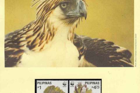 Philippines-1991 WWF Philippine Eagle
