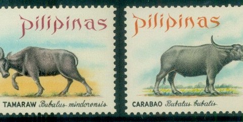 Philippines-1969-Wildlife