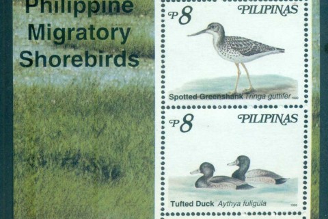Philippines-1999-Migratory-Shorebirds-MS-MUH