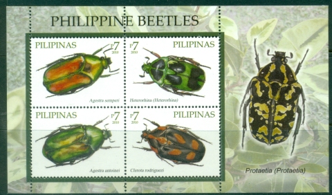 Philippines-2010-Insects-Beetles-MS-MUH