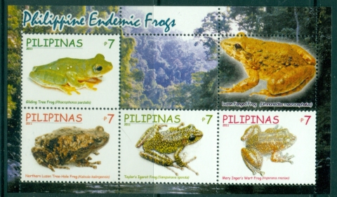 Philippines-2011-Endemic-Frogs-MS-MUH