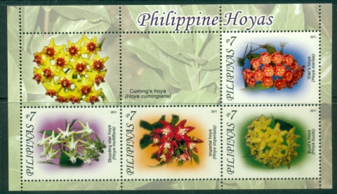 Philippines-2011-Flowers-Hoyas-MS-MUH