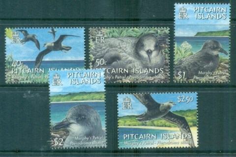 Pitcairn-Is-2004-Murphys-Petrel