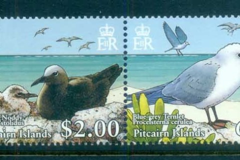 Pitcairn-Is-2007 WWF Birds, Terns & Nodds of the Pitcairn Is