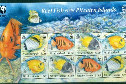 Pitcairn-Is-2010 WWF Coral Reef Fish MS