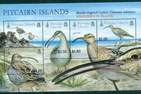 Pitcairn-Is-2005-Birds