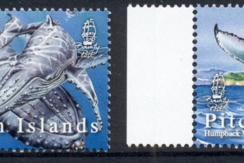 Pitcairn-Is-2006-Humpback-Whales-MUH