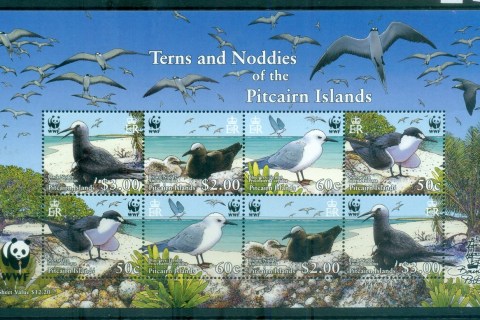 Pitcairn-Is-2007-Birds