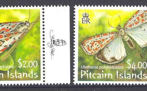 Pitcairn-Is-2007-Moth-MUH-Lot12608