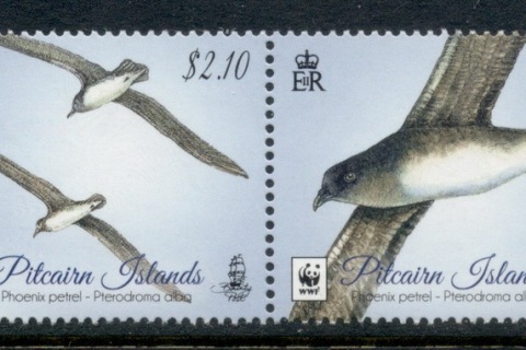 Pitcairn-Is-2016-WWF-Birds