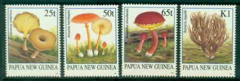 PNG-1995-Fungi-MUH