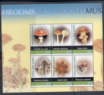 PNG-2005-Funghi-2