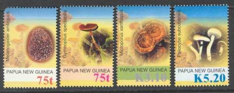 PNG-2005-Funghi-MUH-Lot10335