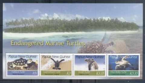 PNG-2007-Endangered-Marine-Turtles-MS-MUH