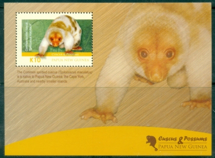 PNG-2012-Fauna-Cuscus-Possums-MS-MUH