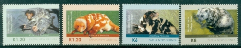 PNG-2012-Fauna-Cuscus-Possums-MUH