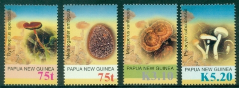 PNG-2005-Mushrooms-MUH