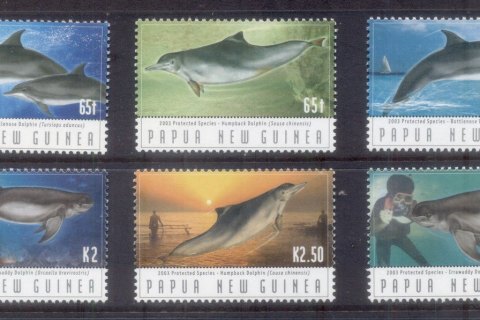 PNG-2006-Marine-Life-2