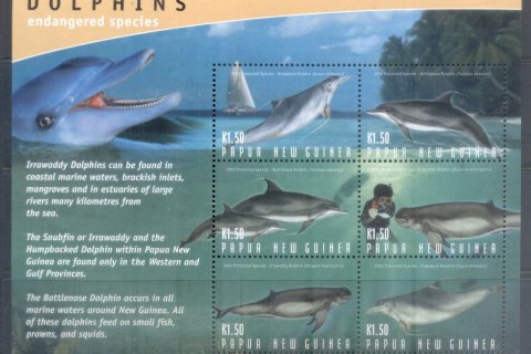 PNG-2006-Marine-Life