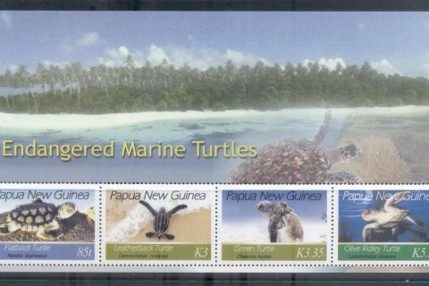 PNG-2007-Endangered-Marine-Turtles-MS-MUH