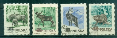 Poland-1954-Wildlife