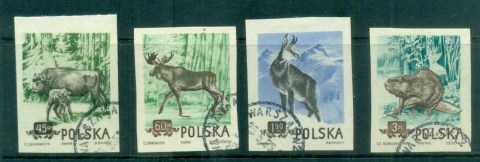 Poland-1954-Wildlife