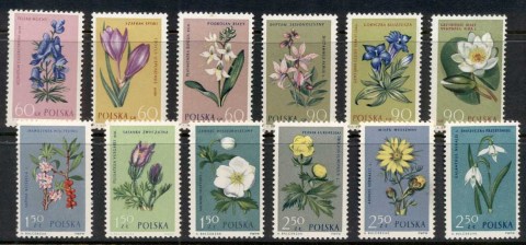 Poland-1962-Flowers-MUH