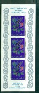 Poland-1974-Embroidery-from-Cracow-Perf-MS-MUH-lot57467