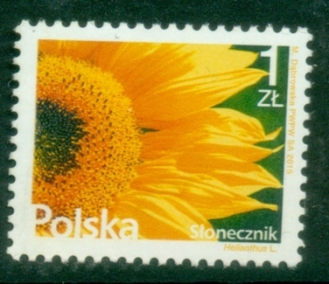Poland-2015-Flowers-and-Fruits-MUH