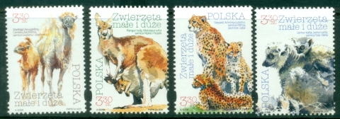 Poland-2020-Wildlife-MUH