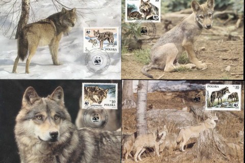 Poland-1985 WWF Wolf 4xMaxicard