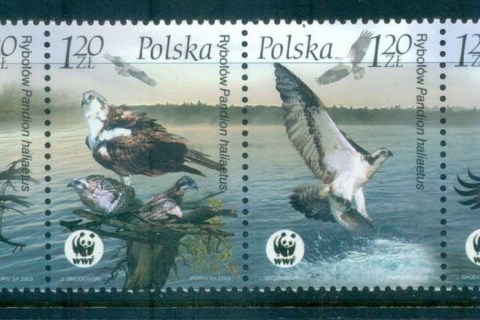 Poland-2003 WWF Osprey