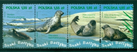 Poland-2009-Marine-Life-Seals-MUH