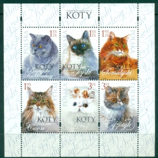 Poland-2010-Cats-MS-MUH
