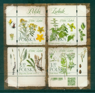 Poland-2020-Herbs-MS-MUH