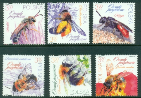 Poland-2021-Bees-Insects-MUH