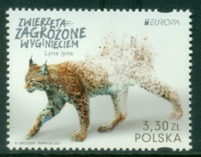 Poland-2021-Europa-Lynx-MUH_1