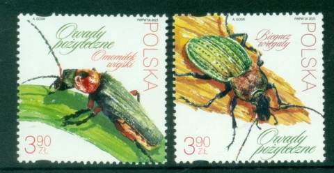 Poland-2023-Insects-Beetles-MUH