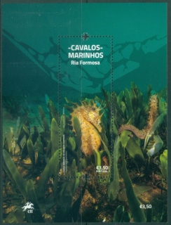 Portugal-2022-The-Seahorses-of-Ria-Formosa-MS-MUH