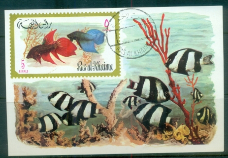 Ras-Al-Khaima-1972-MiMS113-Marine-Life